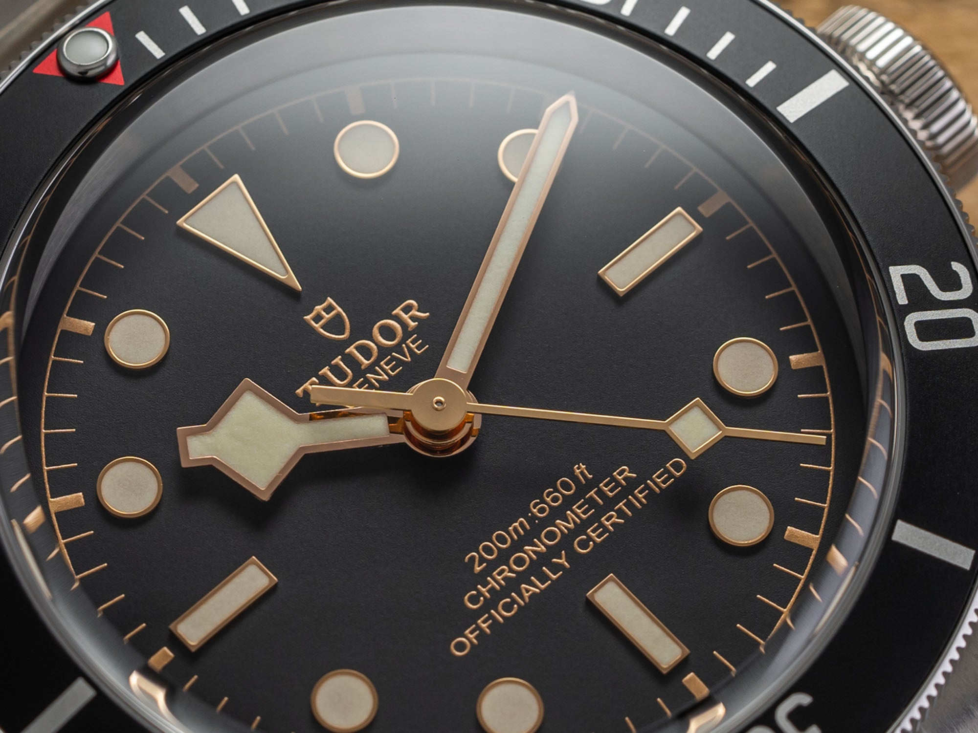 Tudor Black Bay Black